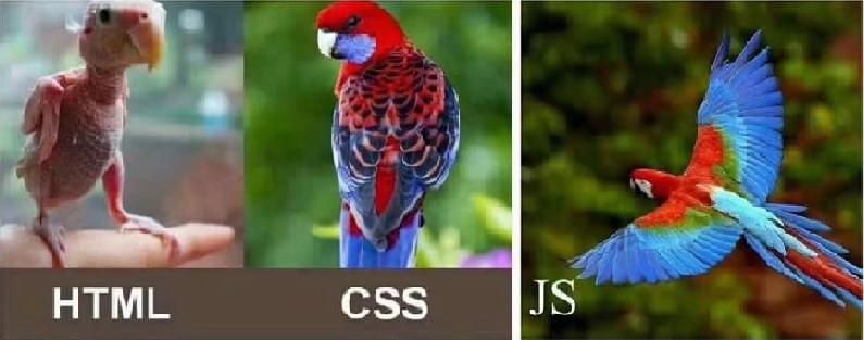 html与css与js的区别